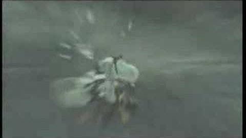 Stylish Assassination: Talal