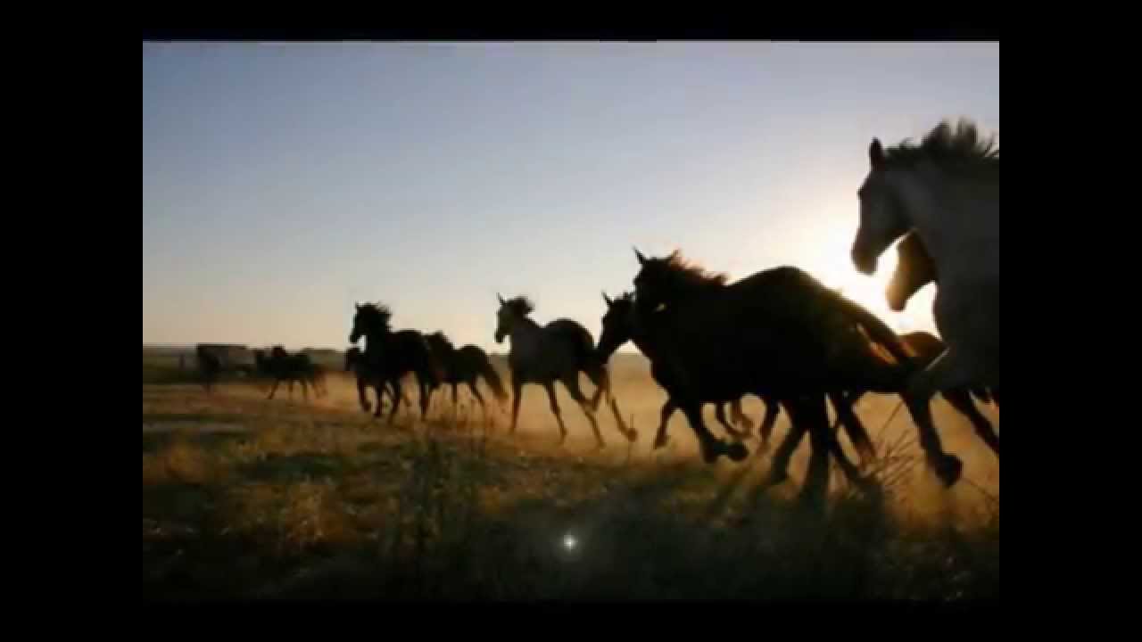 De aquellos tiempos  (Los Romeros de la Puebla)