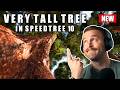 Speedtree Tutorial - How to Create a RedWood tree