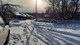 Зимний осмотр пчёл.