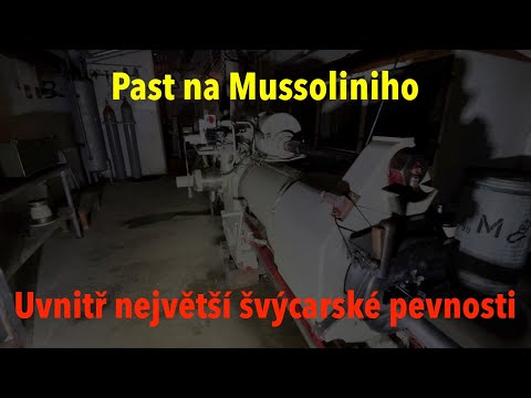 Video: Co je švýcarská databáze prot?