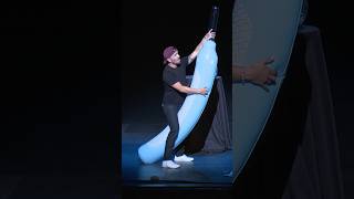 Works On Carpet & Bare Floors