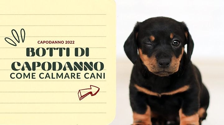 CALMARE CANI IMPAURITI DAI BOTTI DI CAPODANNO- metodi 100% funzionanti #cani #capodanno #botti
