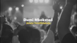 Dumi Mkokstad – Nzulu Yemfihlakalo