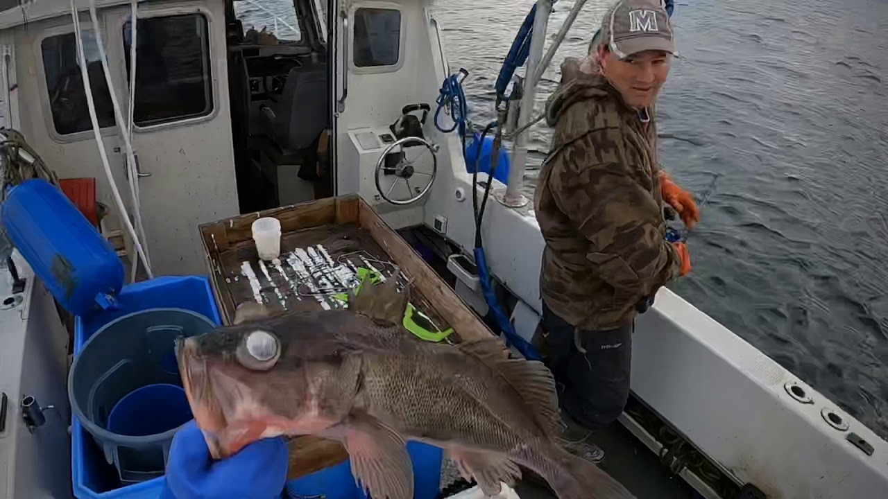 Bait fishing and crabbing. Juneau,Alaska - YouTube