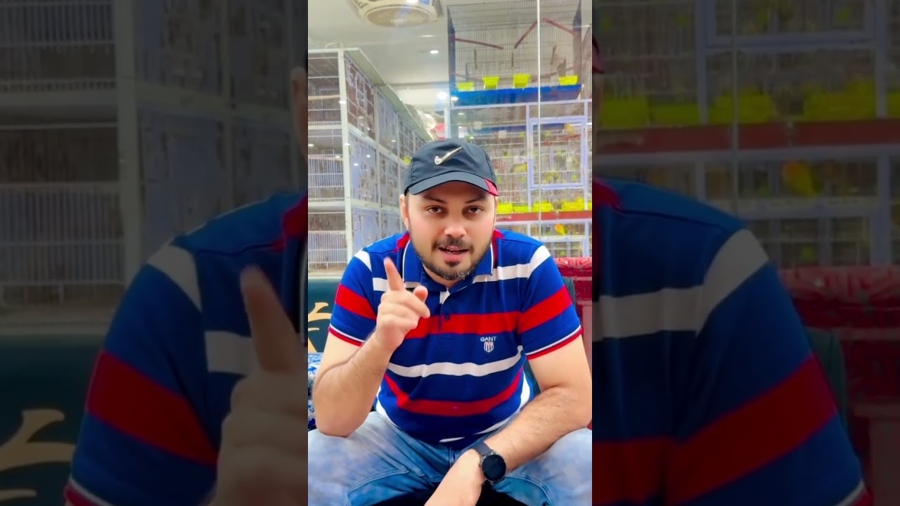 Love birds Future 2025 | Welcome Aviary | Sk Aviary | Birds