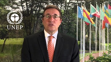Achim Steiner   Annual Report 2015,  Ecosystem Management