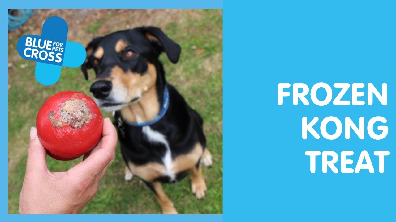 How To Make A Frozen Kong Treat For Your Dog
