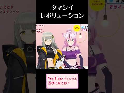 HACHIたやと生歌コラボしたとき歌枠切り抜き( ˊᵕˋ )【タマシイレボリューション / Superfly】#shorts  #vtuber