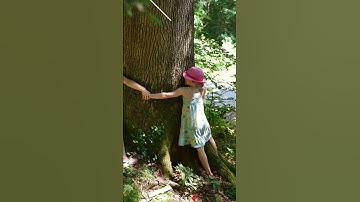 😍🤗 Save the Environment • | • Save Nature 🌺🌼🌷 | WhatsApp Status