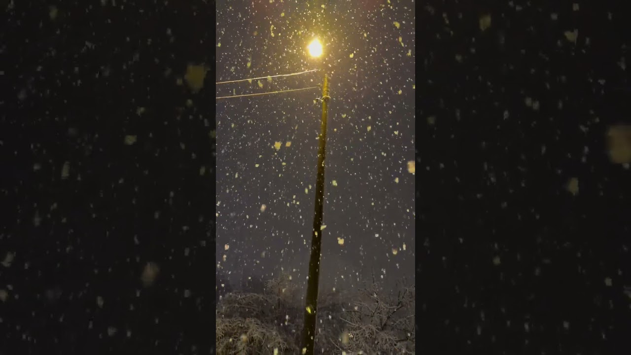 USA TRAVEL WINTER LIFE LOVE TOUR AMERICA PLACE VISIT HEDONISM COACH LIFE PLANE SKI TASTE FOOD MUSIC