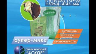 Откорм скота.avi Откорм скота.avi