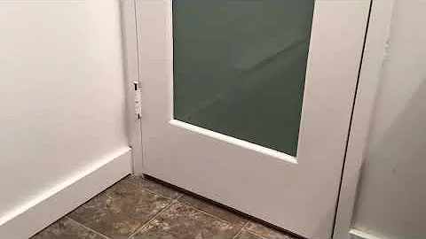 Video 1056091: coon kitten, kitten bathroom