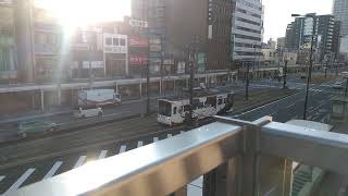 阪堺電気軌道モ501形4編成浜寺駅前行き発車、モ701形6編成|あびこ道|行き到着シーン