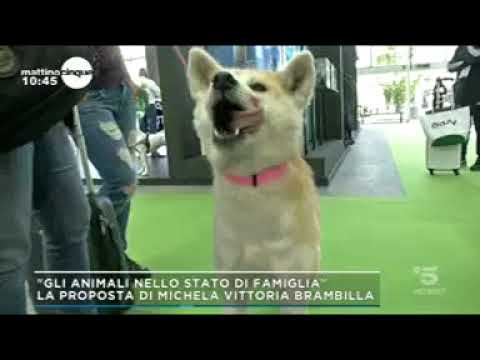 Video: Come Aiutare I Membri Più Anziani Della Famiglia A Tenere I Loro Animali Domestici