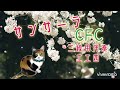 サンサーラ/三線 調弦CFC用伴奏 工工四※詳細は説明文を見てください