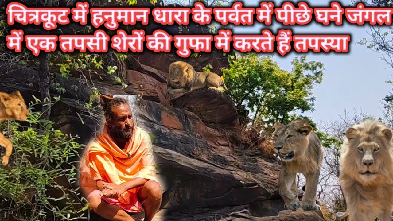 चित्रकूट में हनुमान धारा के पर्वत में पीछे घने जंगल में एक तपस्वी शेरों की गुफा में करते हैं तपस्या