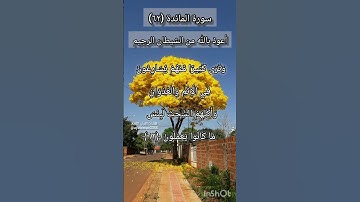 سورة المائدة الآية ٦٢