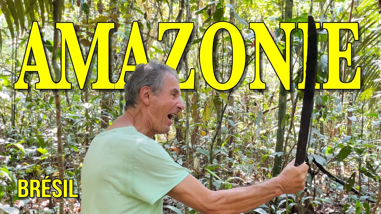 141 🇧🇷 4 jours dans la Jungle d'Amazonie I Brésil