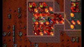Tibia Orkhz: Doing Anni, Teddy Style 3