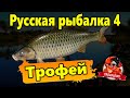 Русская рыбалка 4. Трофей.