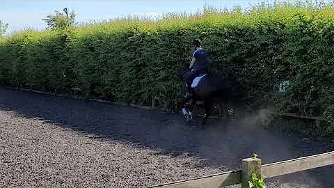 Harriet Price riding Cosmic Blue prelim 1 June 2021