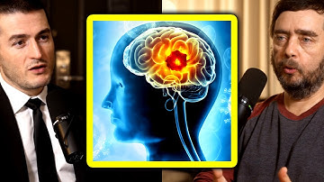 Limits of human intelligence: Cognitive light cone of life on Earth | Michael Levin and Lex Fridman