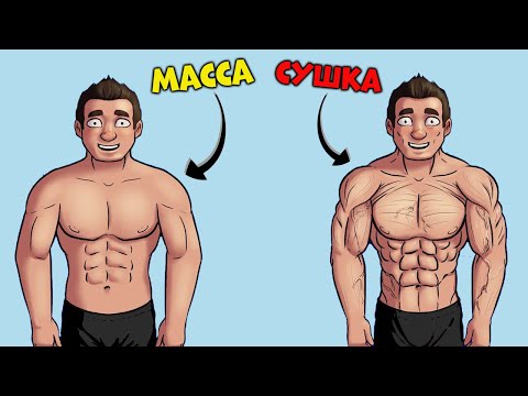 Масса или Сушка? С чего начать?