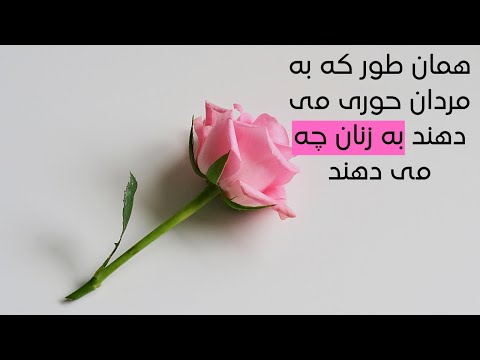 همان طور که به مردان حوری می دهند به زنان چه می دهند