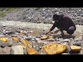 Digging up Huge Nuggets, Mining Various Gold, and Million Dollar Finds!