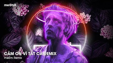 CẢM ƠN VÌ TẤT CẢ REMIX - CẢM ƠN VÌ AI ĐÓ ĐÃ MANG ĐẾN EM TIẾNG CƯỜI REMIX HOT TIKTOK 2024