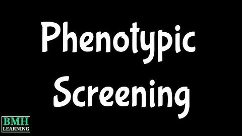 Phenotypic Screening | Phenotypic Drug Discovery |
