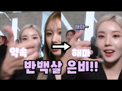 나이는 반의 반 100살, 드립은 반 100살 (+ENOZI ep81 재밌는 순간들) [아이즈원/권은비]
