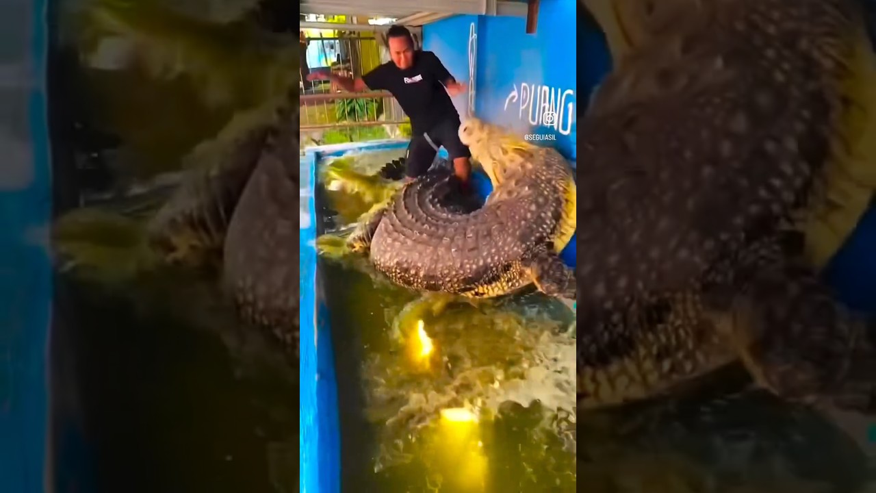 Why is he running? 🤣🤣🤣🤣