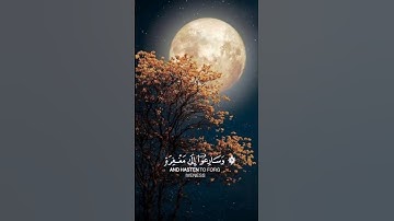 🍂ما تيسر من سوره آل عمران بصوت القارئ حذيفة جنيد 🍂