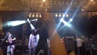 Living Colour + Down - Back In Black @ Soundwave 2014, West