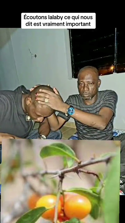 Download lagu 4 septembre 2023