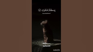 تلاوة خاشعة تريح القلب #قرآن #quran #تلاوات #تلاوة_خاشعة #قرآن #قرآن_كريم #قران_كريم
