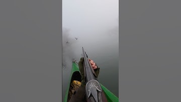 Duck Hunting from a Canoe in the Fog