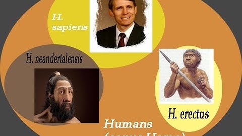 Helping Hovind to Understand Nested Hierarchies