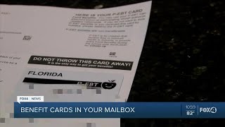 Governor ron desantis approved the p-ebt or pandemic electronic
benefits transfer to keep feed children who missed out of meals
provided by free and reduced ...