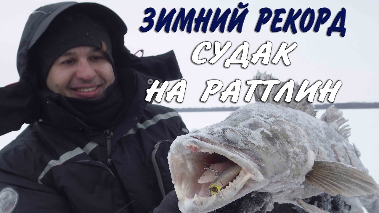 Зимний рекорд. Судак на раттлин