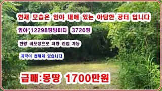 Must-see for those seeking nearly 4,000 pyeong of forest land for a small investment: those looki...