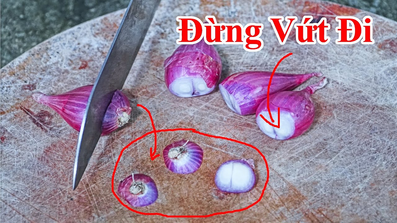 Củ Hành Khô Đừng Vứt Bỏ Phần Này Đi , Nó Có Công Dụng... - youtube