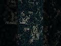 Powfu - death bed (Lyrics) feat. beabadoobee "don't stay awake for too long''||#deathbed #shorts