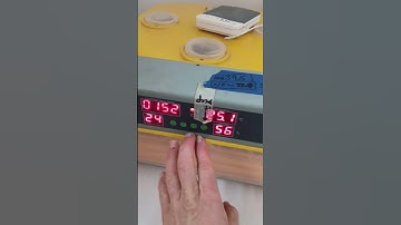 🐣🐤 How To Reset The Incubator