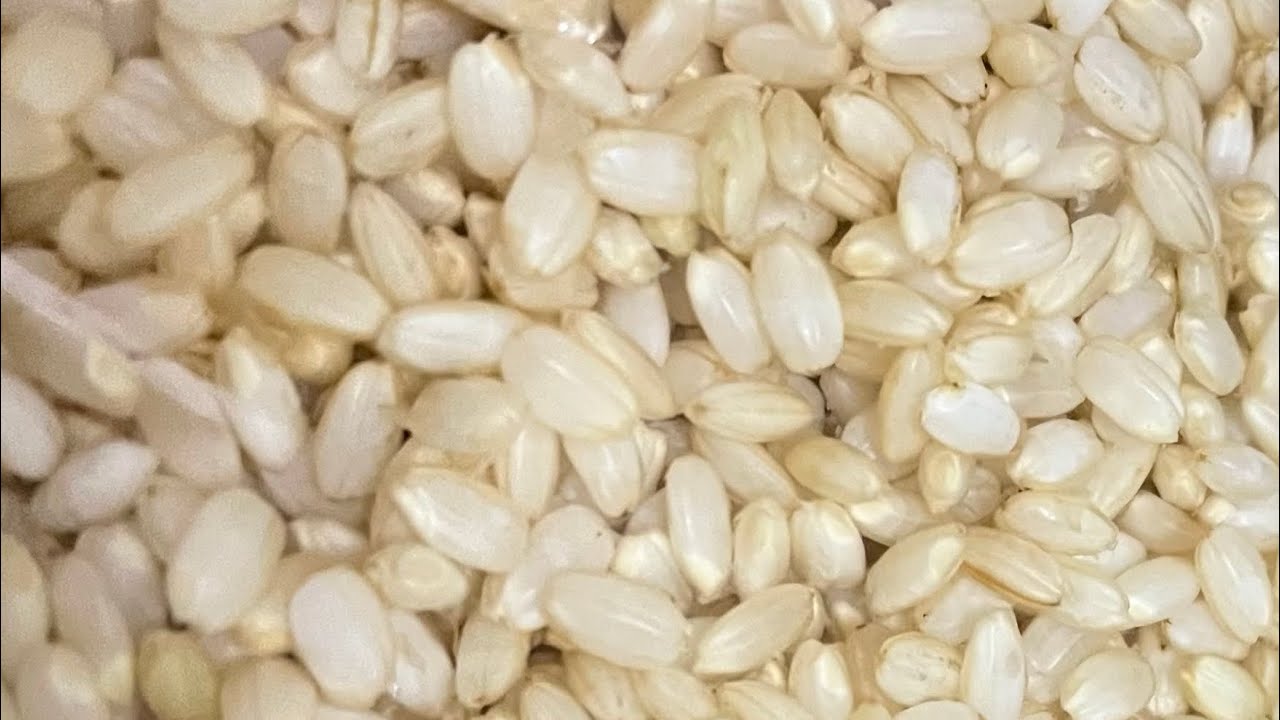 ⑤⑤【玄米】どこまで洗えば気が済むの！？　＃玄米　