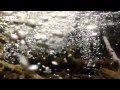 Schätze der Welt Die Plitvicer Seen