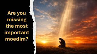 Daily Morning and Evening Sacrifice - Tamiyd