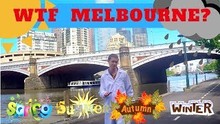 MELBOURNE'S 4 SEASONS IN 1 DAY EXPLAINED